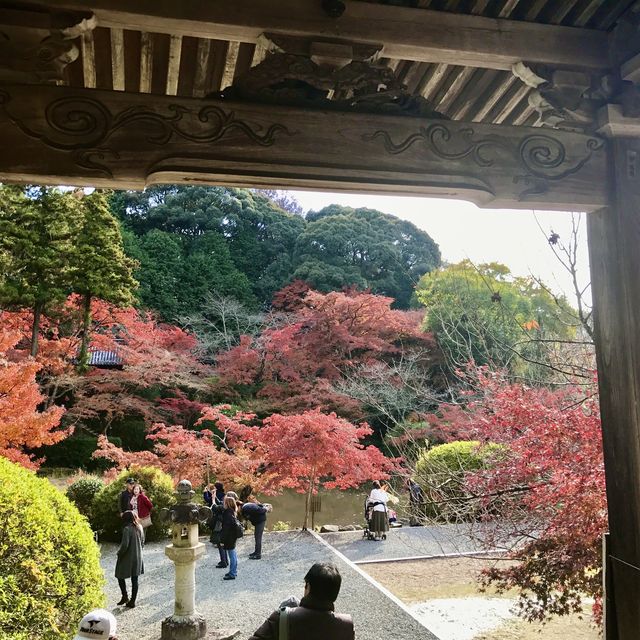 奈良県　奈良市の正暦寺