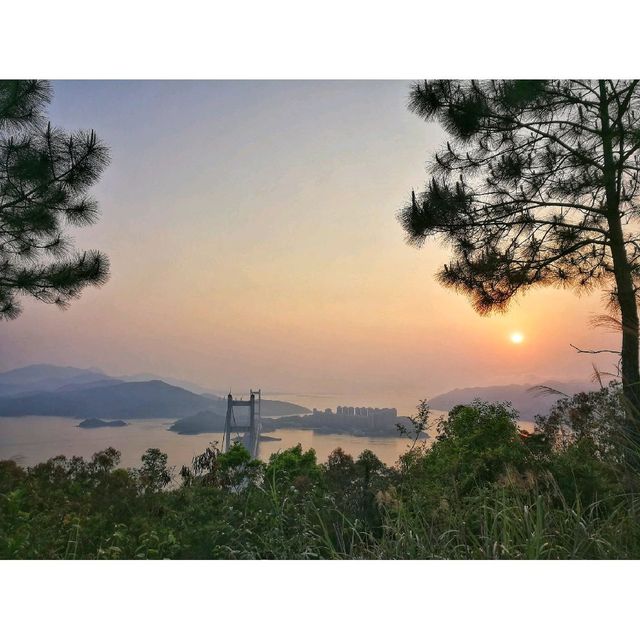 簡易日落打卡路線。青衣自然徑