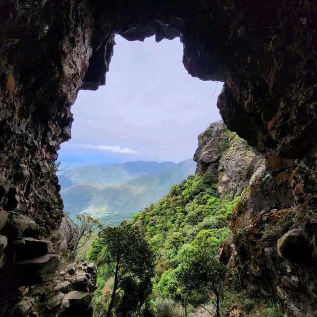 羅漢塔一樹洞