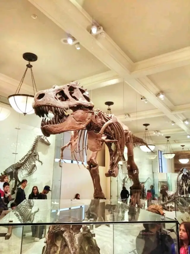 American Museum of Natural History @NYC 