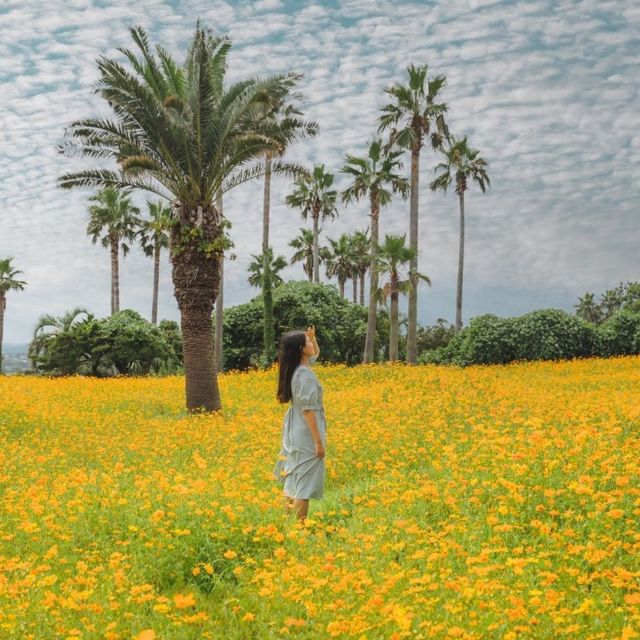 예쁜 꽃밭이 있는 제주 리조트, 소노캄 제주 