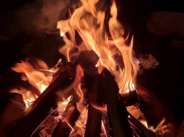 🔥가평 청춘 글램핑에서 가을 감성 느끼기🔥