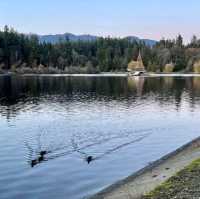 Lost Lagoon No Longer. 