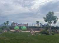 Timberland and Fruit Resort 🏔️