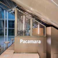 คาเฟ่ Pacamara x UFC Velvet มีเครื่องดื่มใหม่ 
