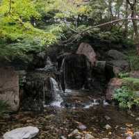 Nagoya's Hidden gem, a garden!