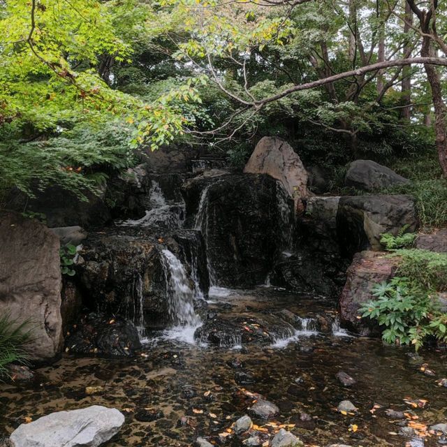 Nagoya's Hidden gem, a garden!  Nagoya's Hidden gem, a garden!