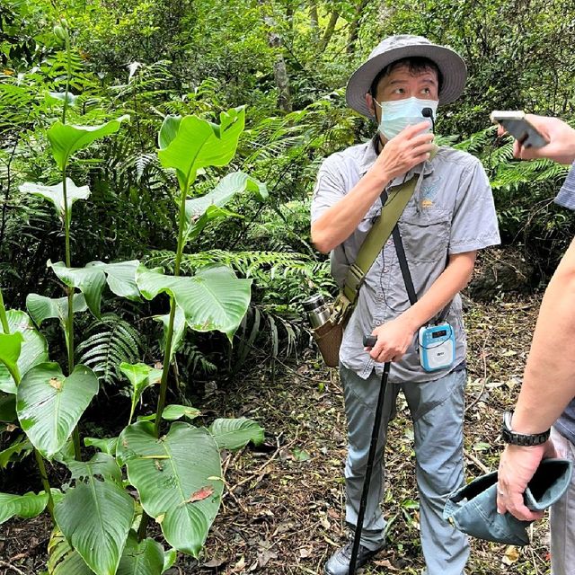 宜蘭藝術山林之旅 馥森宜蘭里山藝術生態園區