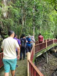 Bat cave Langkawi 🦇✨