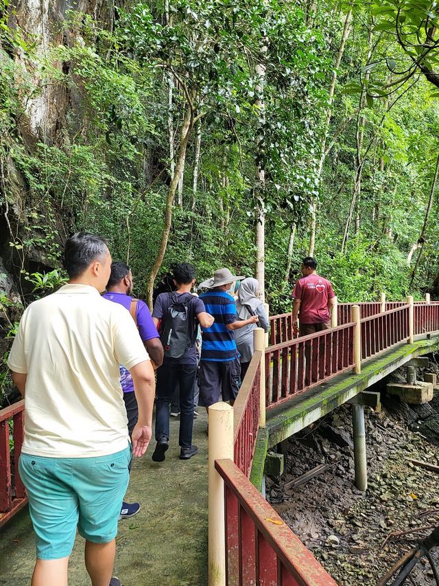 Bat cave Langkawi 🦇✨