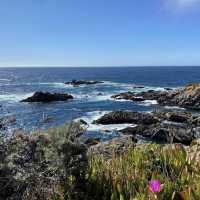 Pine Ridge Trail Big Sur