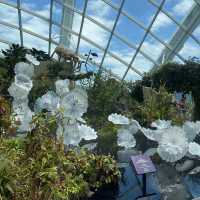 Best travel place, “Garden by the bay”