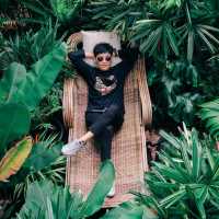 มองช้างคาเฟ่ สไตล์ซาฟารีคาเฟ่ อยู่พัทยานี่เอง