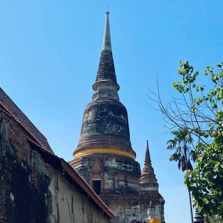 แนะนำ