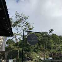 TH Tree House Along the Road