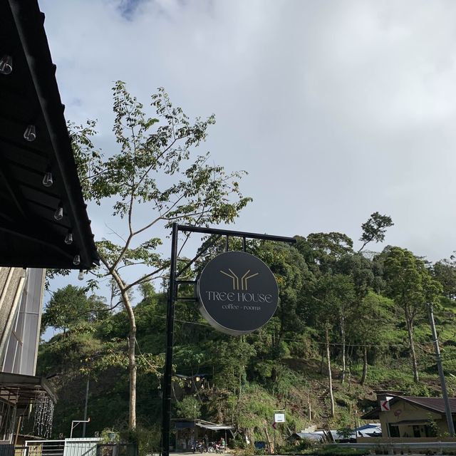 TH Tree House Along the Road