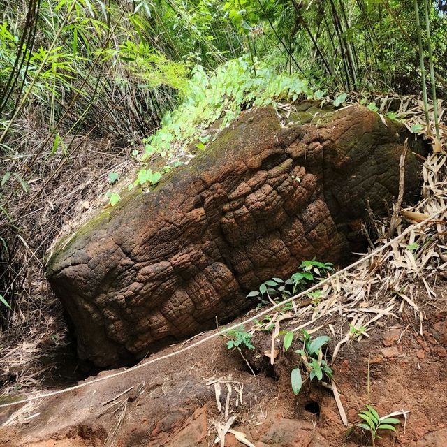 Naga Cave, sun crack snake rocks