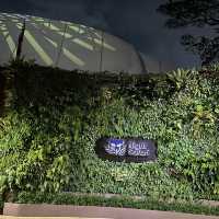 Don’t miss the night safari in Singapore 