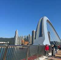 熙來攘往的跨灣大橋