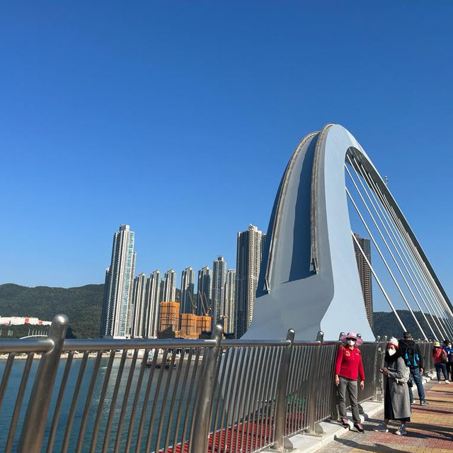 熙來攘往的跨灣大橋