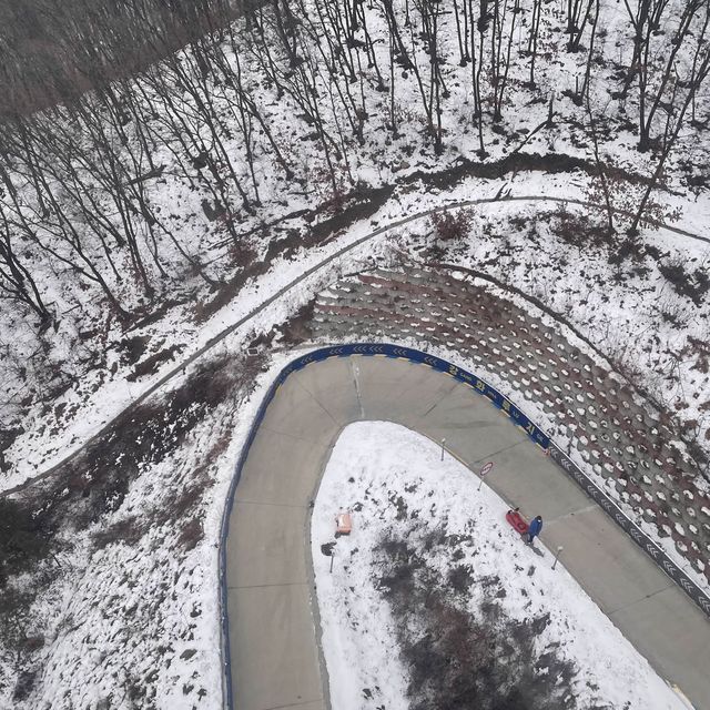 눈덮인 설산과함께❄️씨사이드리조트 루지