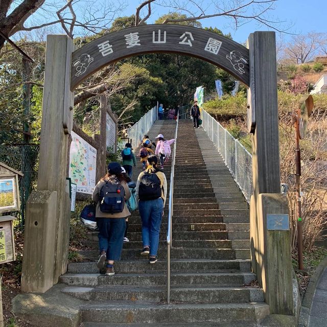 吾妻山公園