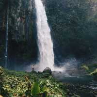 Curup lestari