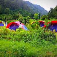 D'JUNGLE PRIVATE CAMP, BOGOR
