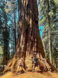Sequoia National Park