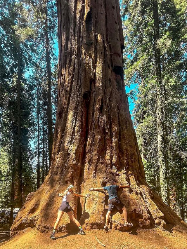 Sequoia National Park
