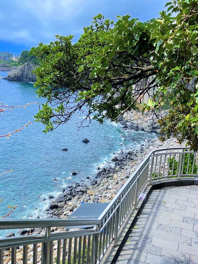 제주도 3대 폭포 중 하나인 정방폭포🌊