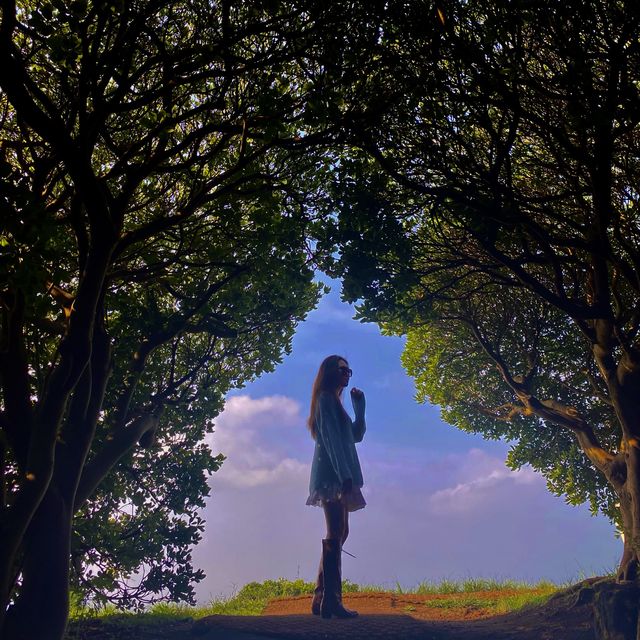달달함의 시각화 키세스 존, 도두봉🌳
