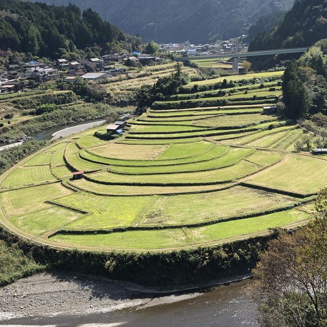 あらぎ島