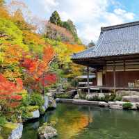 【紅葉巡り】湖東三山 百済寺