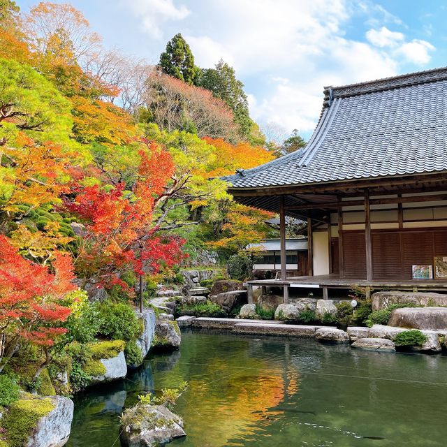 【紅葉巡り】湖東三山 百済寺
