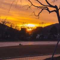 경주타워에서 보는 노을