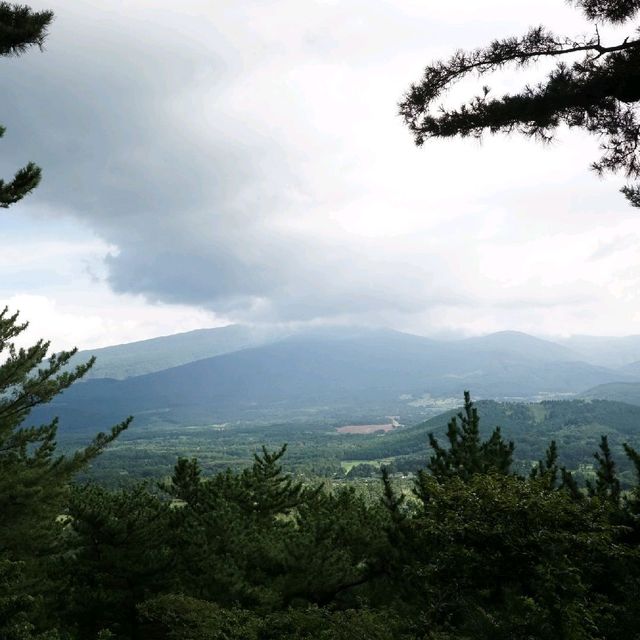 제주도 한라산이 보이는 '광이오름'