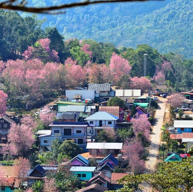 จุดชมวิววัดป่าภูหินร่องกล้า

