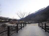문경새재 미로공원 자연과 함께 