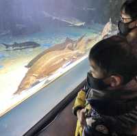 三重県•鳥羽水族館