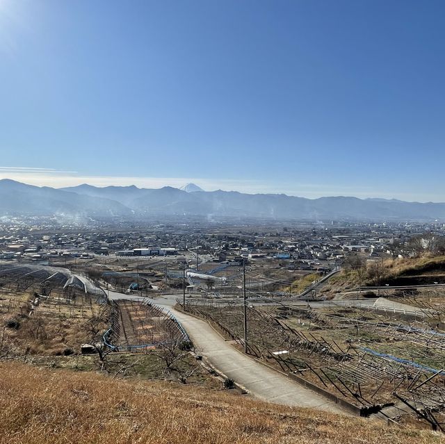 ネーミングセンス抜群！ 山梨 山梨市