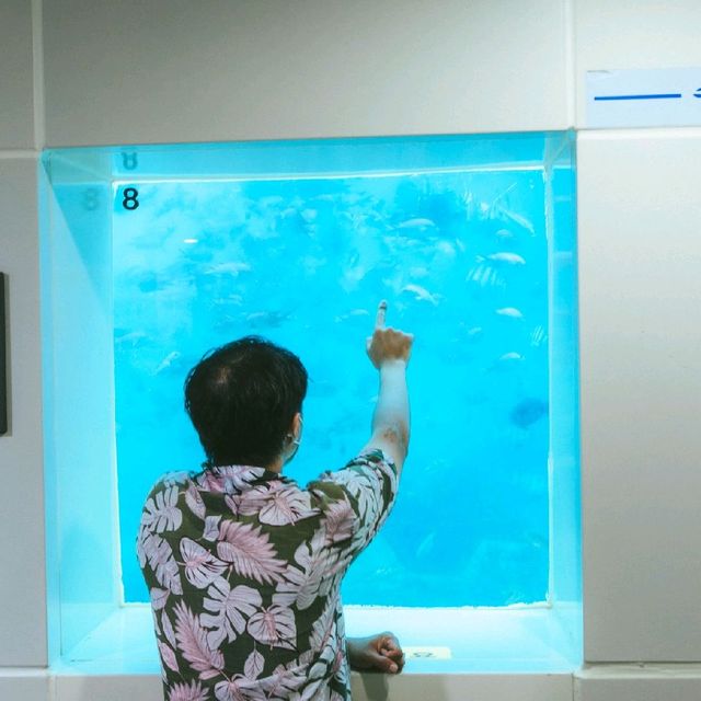 바다 속 풍경을 볼 수 있는 국내 유일 해중전망대