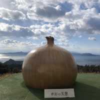 【淡路島】こんなところにおっ玉葱！？🧅