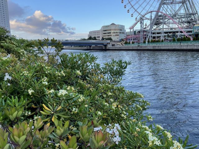 お花好きにはたまらない！横浜フラワー散歩！