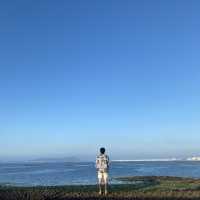 시원한 오션뷰🌊 야자수🌴가 가득한 제주도 호텔&리조트 추천!
