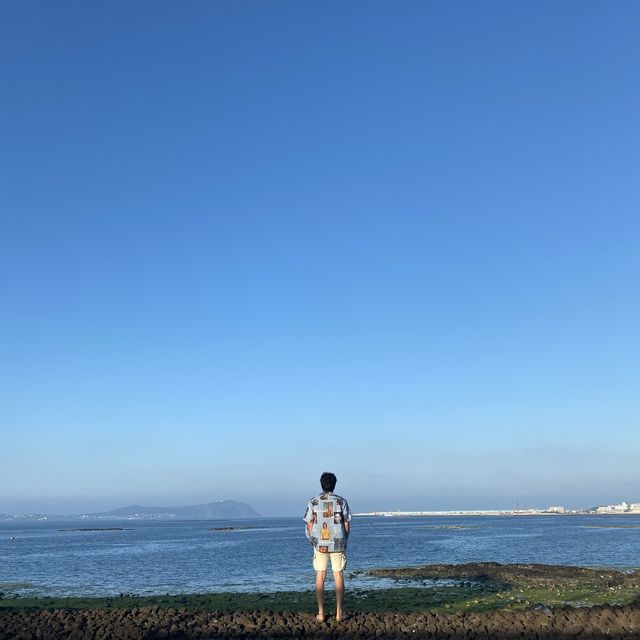 시원한 오션뷰🌊 야자수🌴가 가득한 제주도 호텔&리조트 추천!