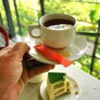 Picturesque café at Tea Plantation 🍃☕