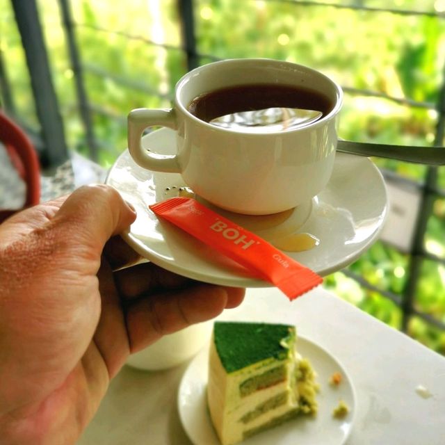 Picturesque café at Tea Plantation 🍃☕