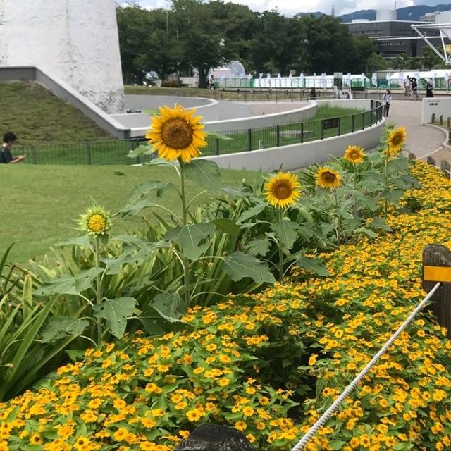 【万博記念公園】expoシティ オオサカホエール