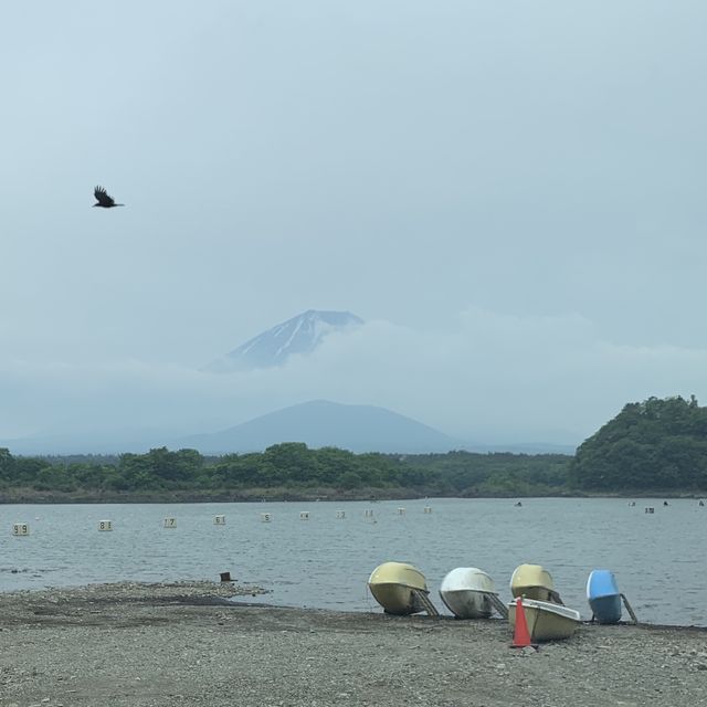 Kodaki Fuji view point (Fuji craddle a child)